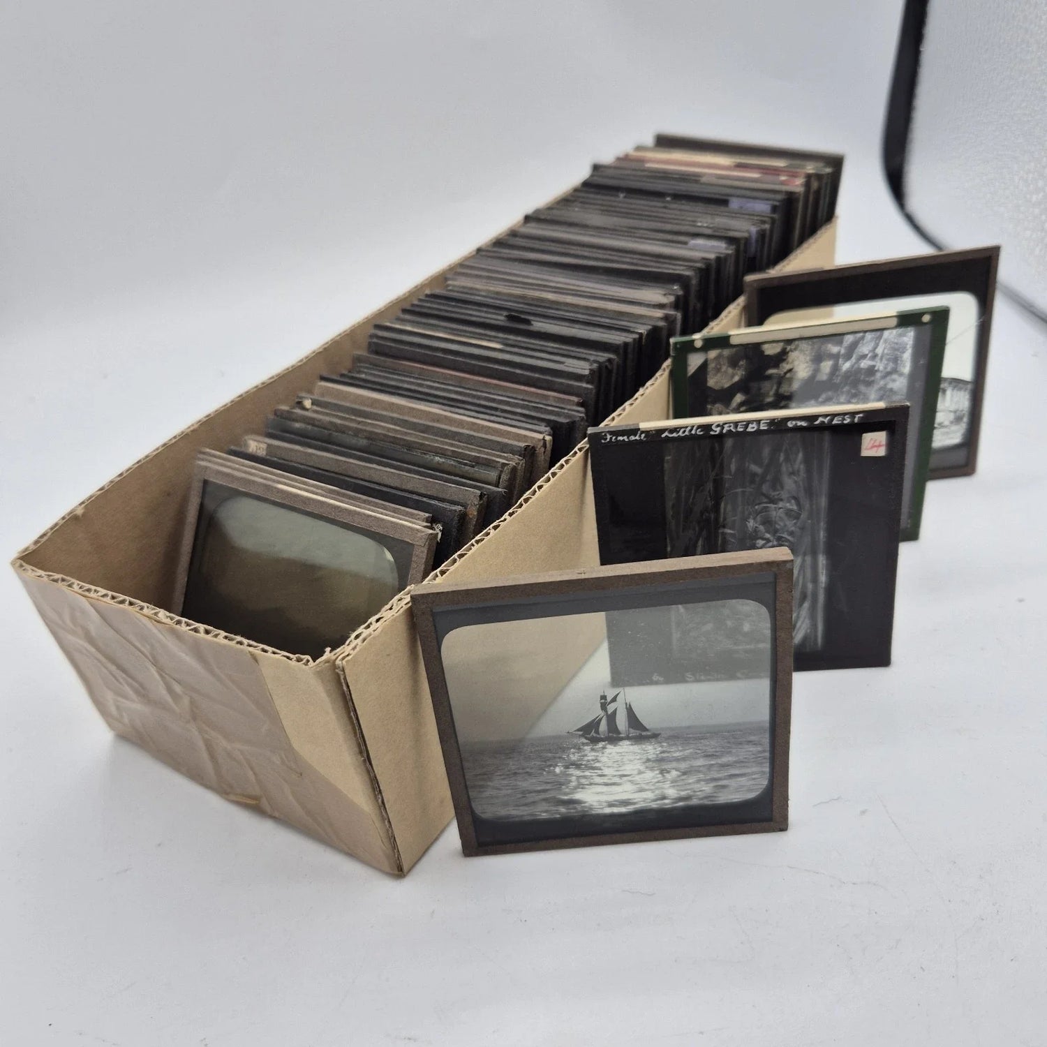 Magic Lantern Slides